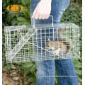 Preço baixo Animal selvagem Humane Rat Cage